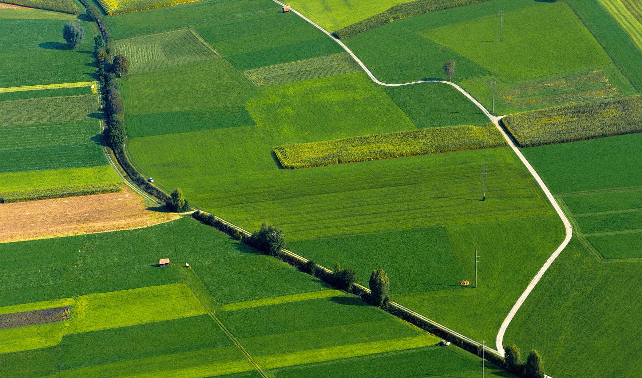 Agricultural Plots