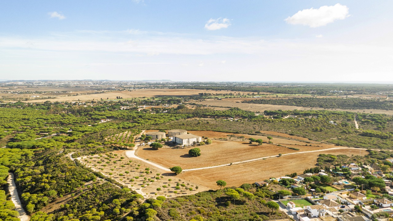 Commercial Plots