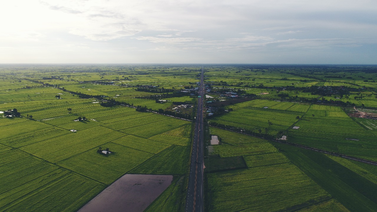 Residential Plots