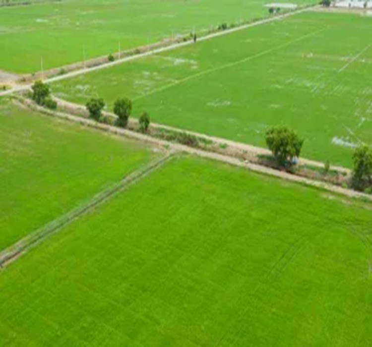 godrej-forest-estate
